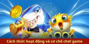 Bí Kíp Chinh Phục Bắn Cá Royal Fishing U888 Săn Thưởng Cực Đỉnh 5 Bí Kíp Chinh Phục Bắn Cá Royal Fishing U888 Săn Thưởng Cực Đỉnh