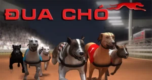 Chinh Phục Đua Chó U888 Bí Kíp Thắng Lớn Siêu Tốc Cho Bạn 1 Chinh Phục Đua Chó U888 Bí Kíp Thắng Lớn Siêu Tốc Cho Bạn